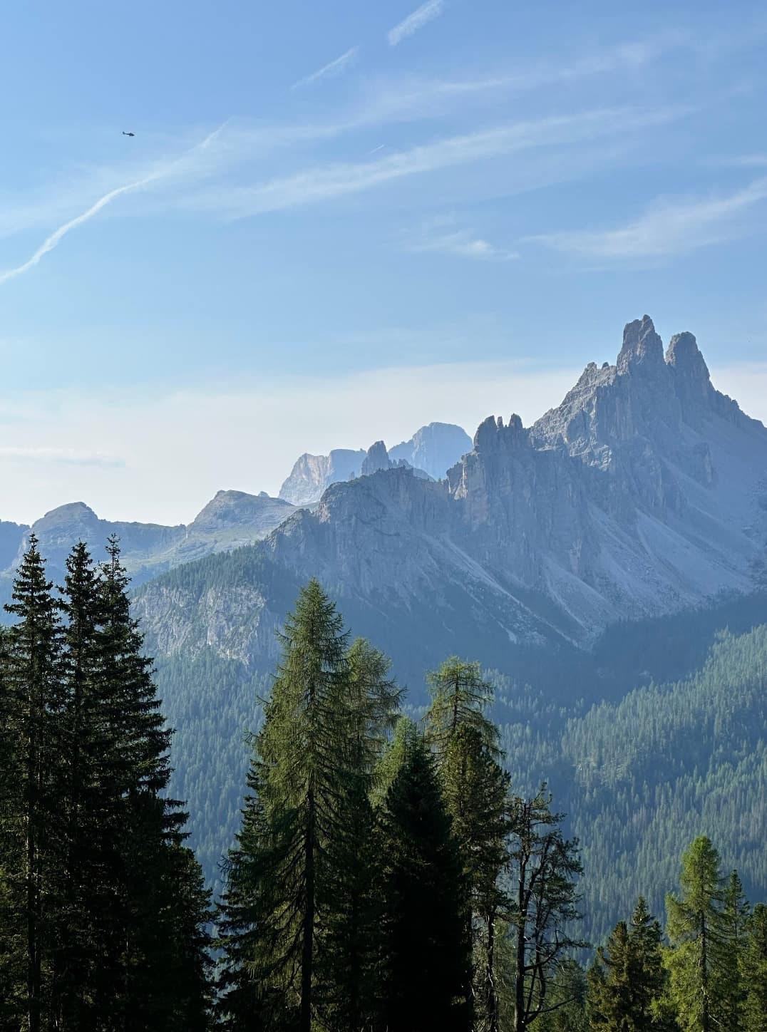 The Dolomites at first light above a larch forest