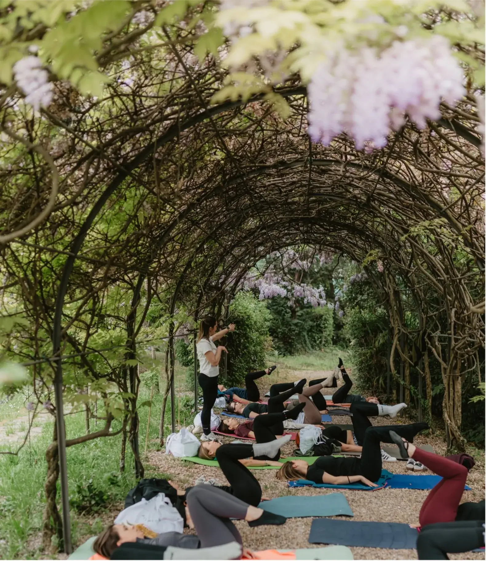 A yoga group practising outdoors under a wisteria pergola in the Prosecco hills
