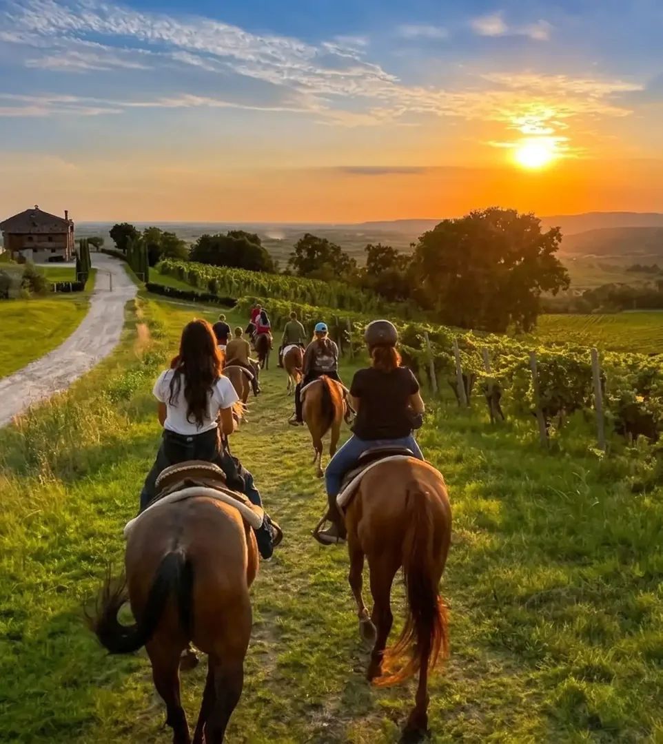 Horse riding at sunset in the hills